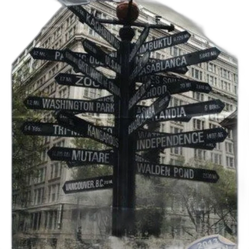 tree, hat, city street, signpost transparent PNG cut-out