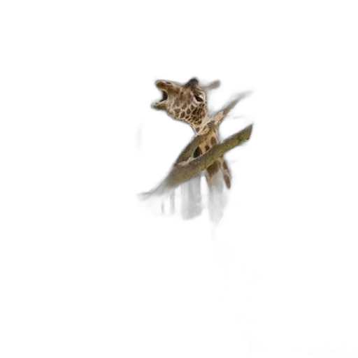 jewelry, crown, flower, staff transparent PNG cut-out