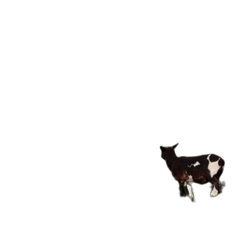 animal, food, creature, robot transparent PNG cut-out