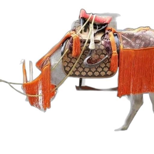 jewelry, animal, weapon, furniture transparent PNG cut-out