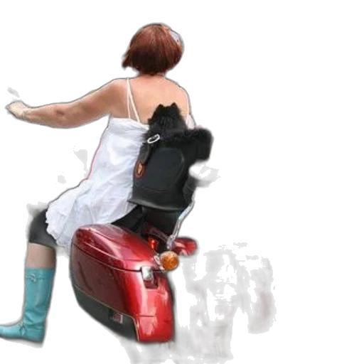 photorealistic, concept art, oil painting, 3d render transparent PNG cut-out