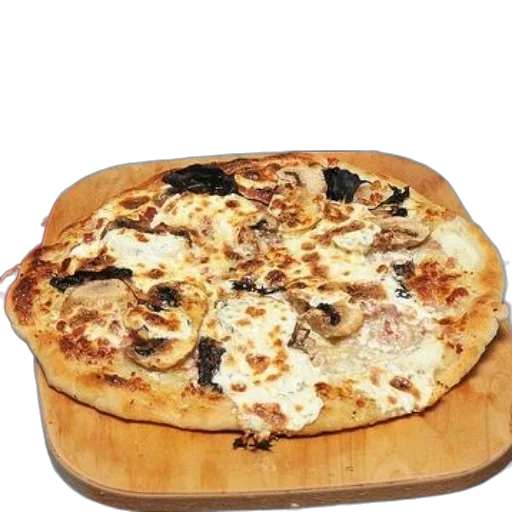 food, jacket, animal, face transparent PNG cut-out