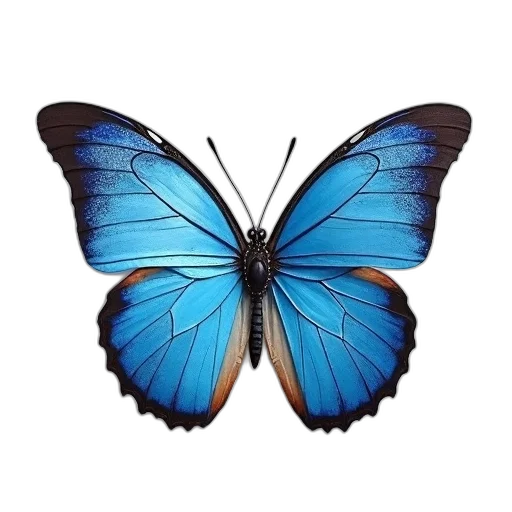 animal, jewelry, creature, crown transparent PNG cut-out