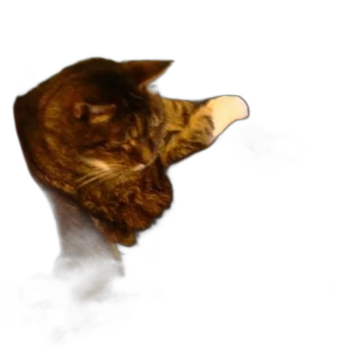 mask, animal, face, hat transparent PNG cut-out