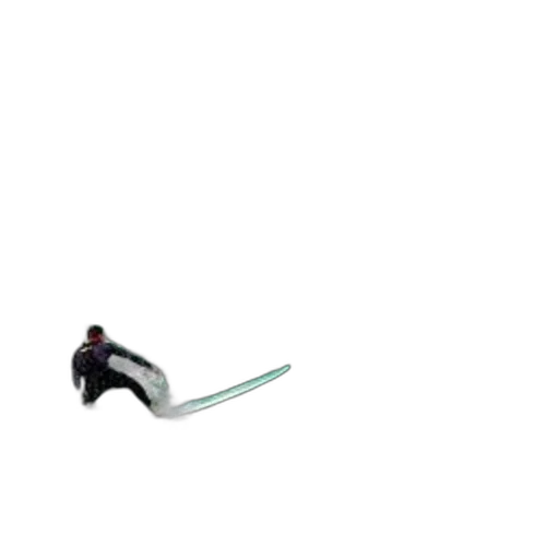 staff, weapon, sword, shoes transparent PNG cut-out