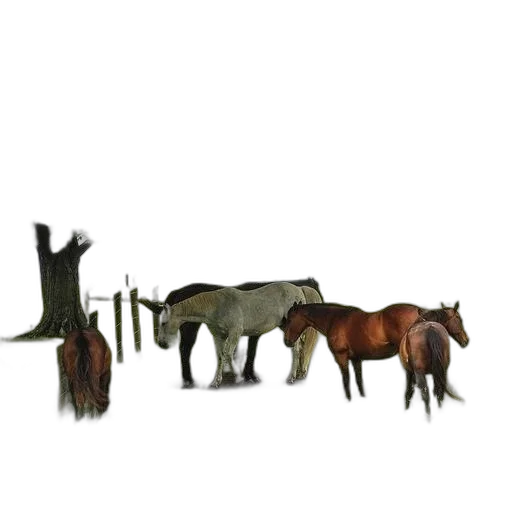 animal, furniture, staff, jewelry transparent PNG cut-out