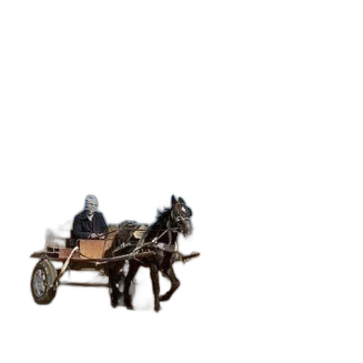 car, furniture, animal, robot transparent PNG cut-out