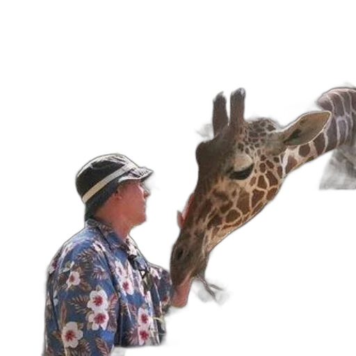 animal, creature, staff, hat transparent PNG cut-out