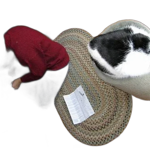 hat, shoes, furniture, jacket transparent PNG cut-out