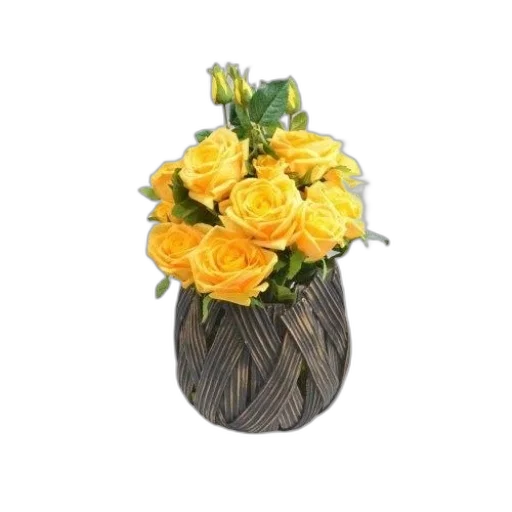 flower, crown, photorealistic, 3d render transparent PNG cut-out