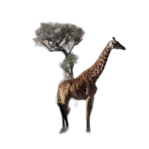 animal, tree, creature, staff transparent PNG cut-out