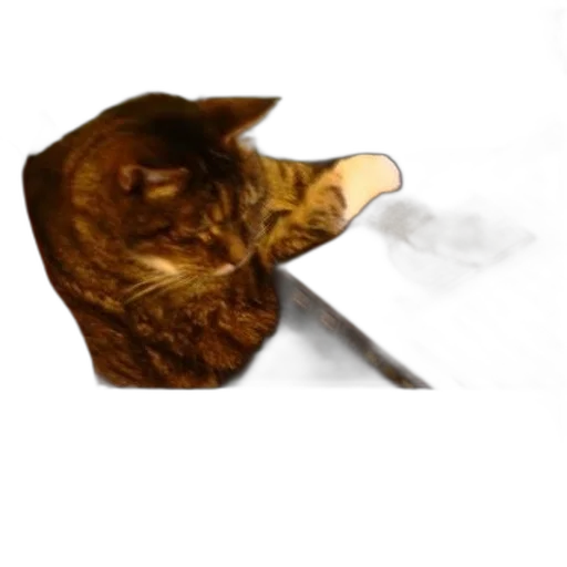 mask, staff, hat, animal transparent PNG cut-out