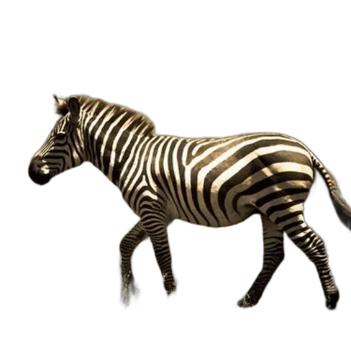 animal, creature, jewelry, furniture transparent PNG cut-out