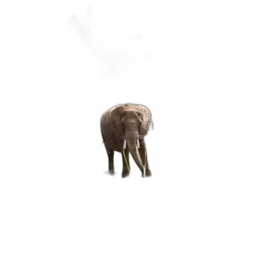 animal, creature, staff, hat transparent PNG cut-out