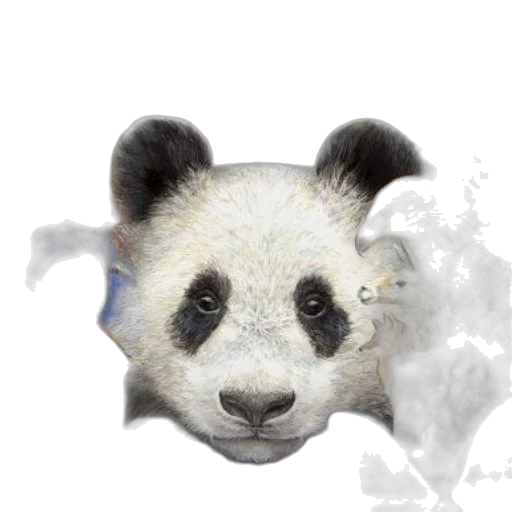 animal, creature, mask, face transparent PNG cut-out
