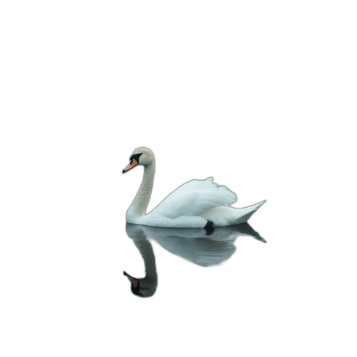 animal, creature, weapon, staff transparent PNG cut-out
