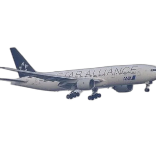 animal, star, alliance, airplane transparent PNG cut-out