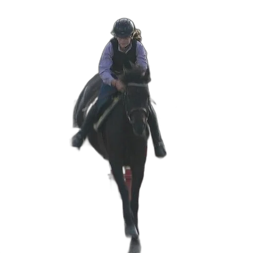 staff, animal, jacket, hat transparent PNG cut-out
