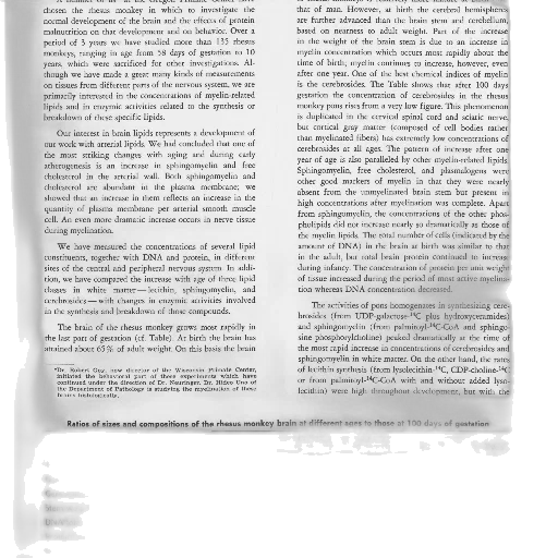 scientific, paper, discussing, development transparent PNG cut-out