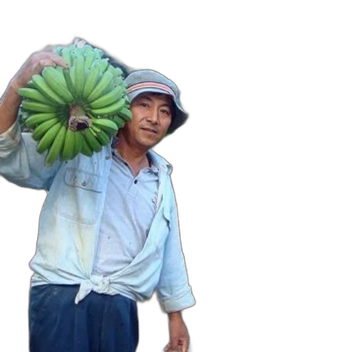 umbrella, hat, staff, food transparent PNG cut-out