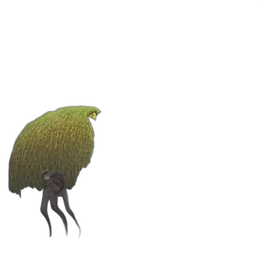 creature, hair, hat, animal transparent PNG cut-out