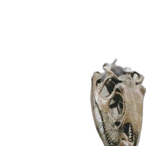 dragon, shoes, mask, animal transparent PNG cut-out