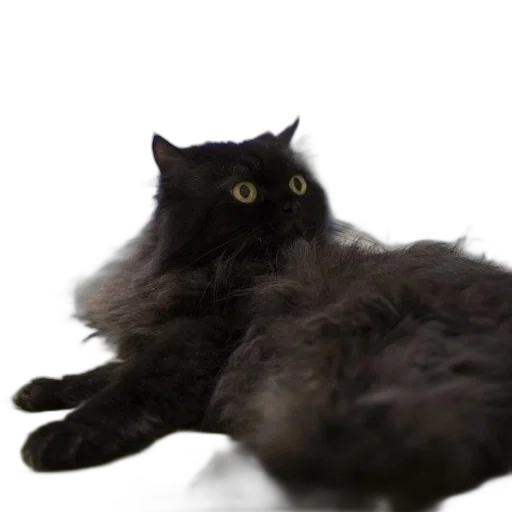 creature, animal, hair, robot transparent PNG cut-out
