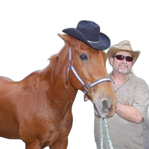 animal, hat, creature, staff transparent PNG cut-out