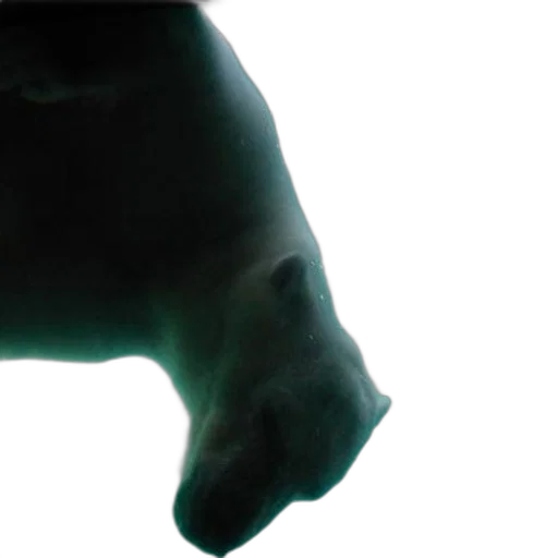 animal, mask, face, creature transparent PNG cut-out