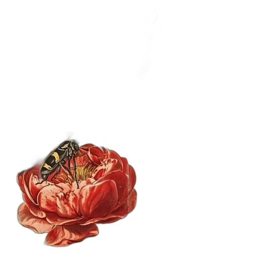 flower, crown, jewelry, dress transparent PNG cut-out