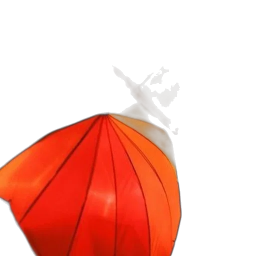 umbrella, crown, hat, flower transparent PNG cut-out