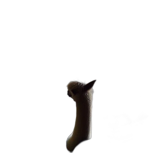 staff, weapon, animal, shoes transparent PNG cut-out