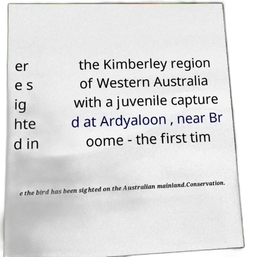 poster, text, about, sightings transparent PNG cut-out