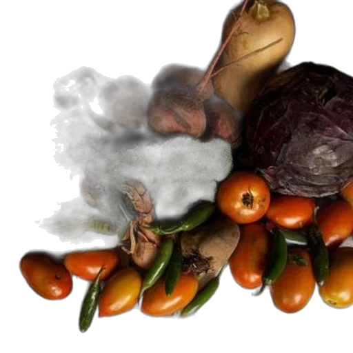 food, photorealistic, 3d render, concept art transparent PNG cut-out