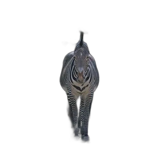 jewelry, crown, mask, animal transparent PNG cut-out