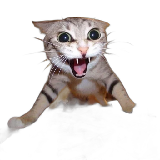 animal, creature, staff, face transparent PNG cut-out