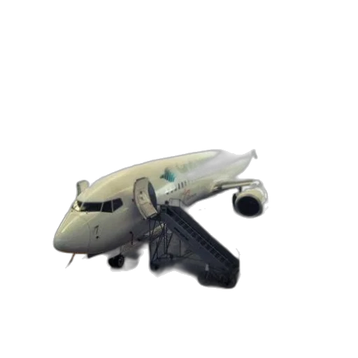 weapon, animal, creature, staff transparent PNG cut-out