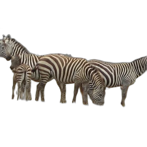animal, creature, furniture, 3d render transparent PNG cut-out