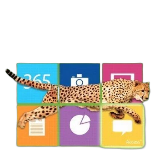 animal, colorful, book, cover transparent PNG cut-out