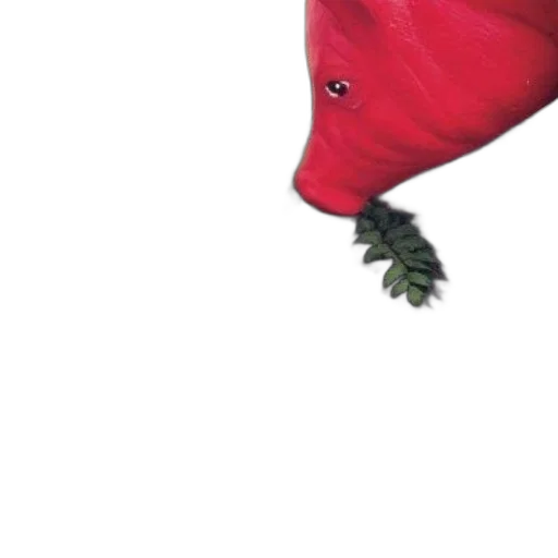 hat, crown, mask, umbrella transparent PNG cut-out