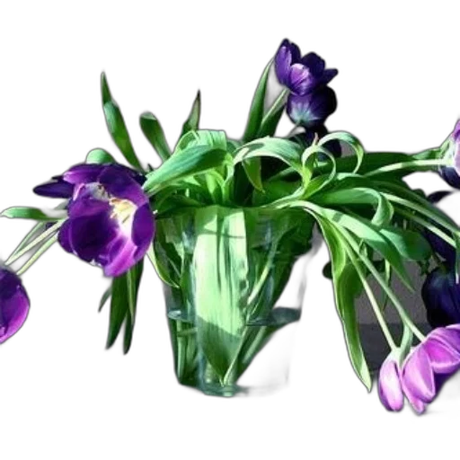flower, crown, jewelry, bottle transparent PNG cut-out