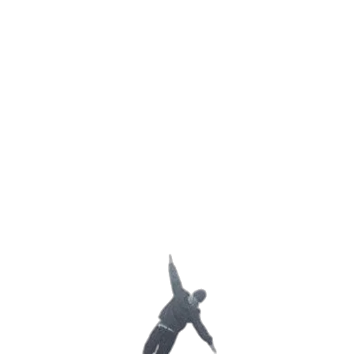staff, creature, dragon, animal transparent PNG cut-out