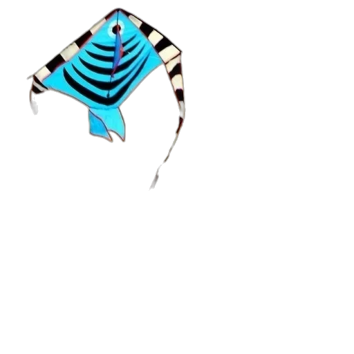 animal, jewelry, creature, umbrella transparent PNG cut-out