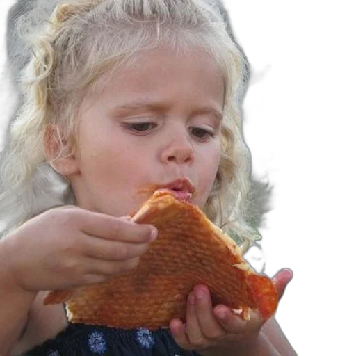 food, animal, creature, young transparent PNG cut-out