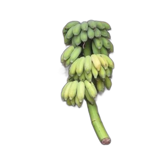 food, weapon, crown, staff transparent PNG cut-out