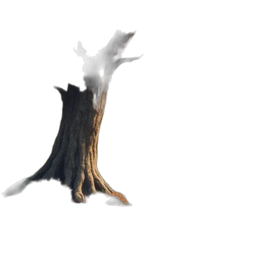 tree, creature, dragon, crown transparent PNG cut-out