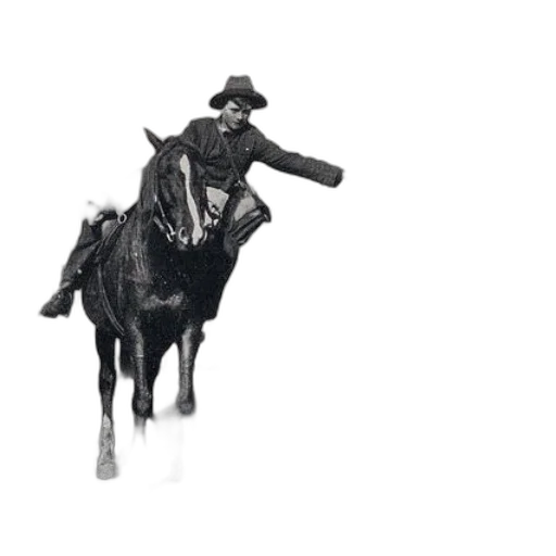 staff, animal, weapon, hat transparent PNG cut-out