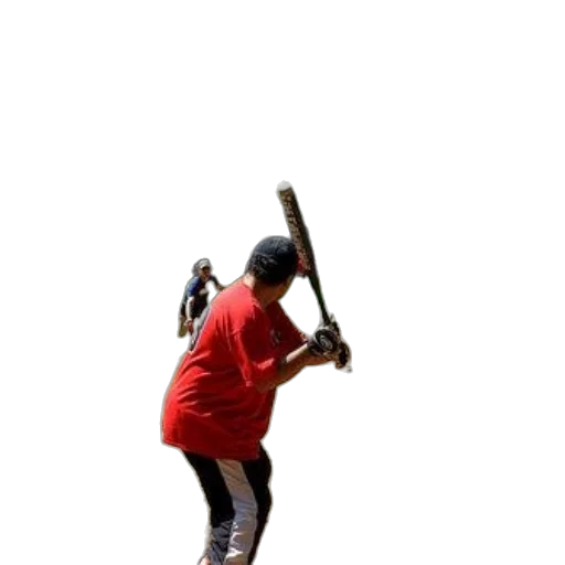 staff, weapon, sword, animal transparent PNG cut-out