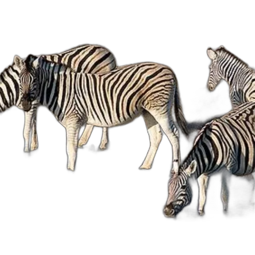 animal, furniture, jewelry, 3d render transparent PNG cut-out
