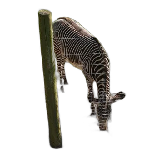 animal, staff, weapon, creature transparent PNG cut-out